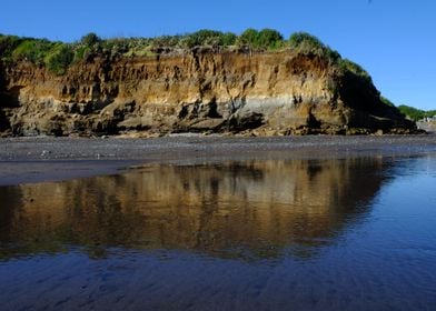 Back Beach Reflections