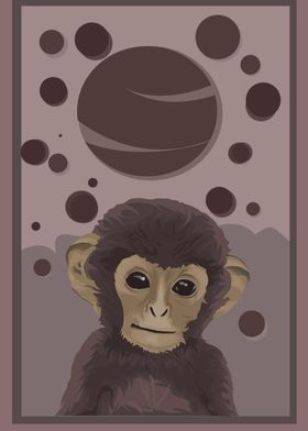 monkey the planets