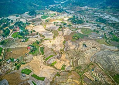 Aerial view of terraces