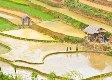 Ethnic farmers on fields