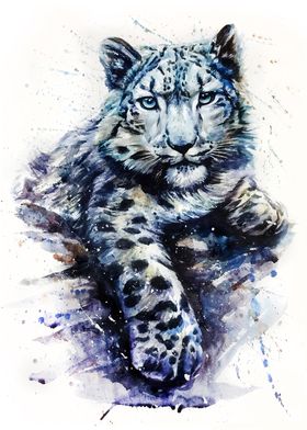 Snow leopard watercolor