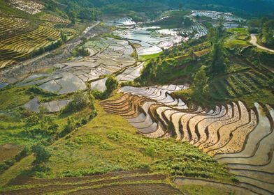 Nice view of rice terraces