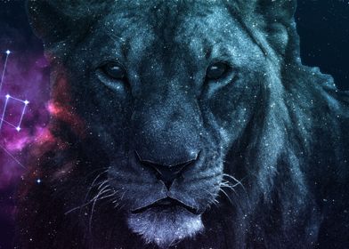 Galaxy Lion King