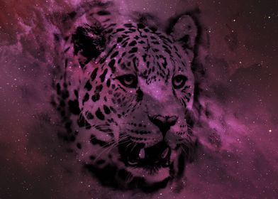 Jaguar Constellation