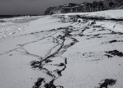 Sargasso patterns beach