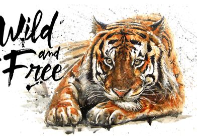 Tiger wild and free