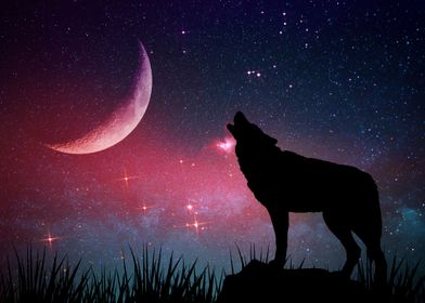 Wolf color sky