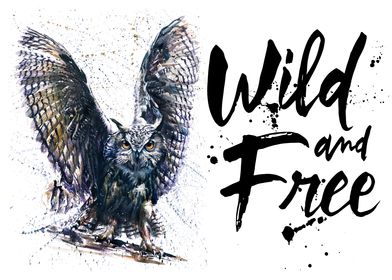 Owl wild  and free