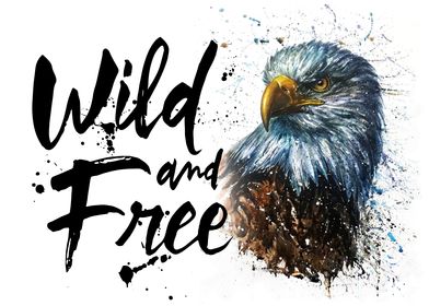 Eagle wild and free