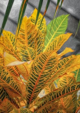 Tropical Plant Leaves