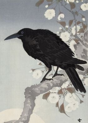 Crow in the full moon