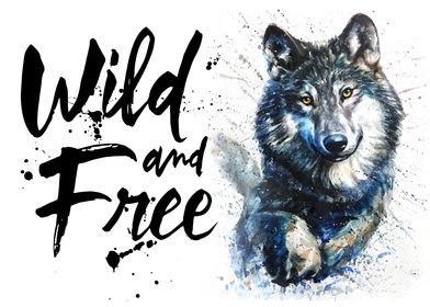 Wolf wild and free