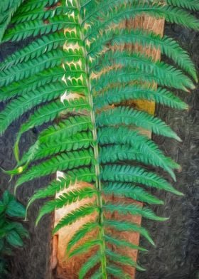 Fern Against Fence