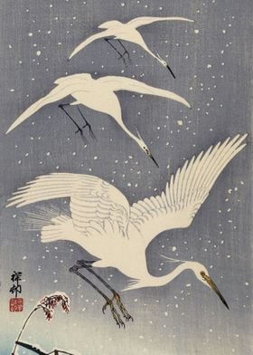 Descending egrets in snow