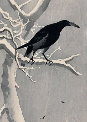 Crow in a snowy tree