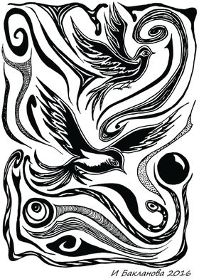 Birds Black White Drawing