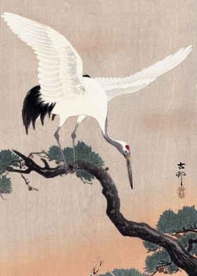 Japanese crane