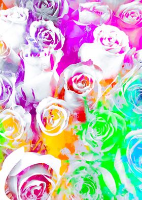 colorful rose pattern