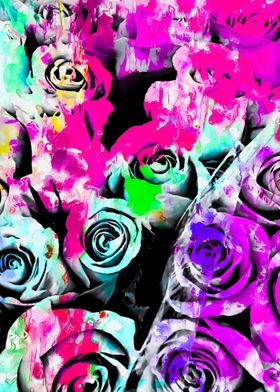 pink and purple rose