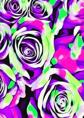 roses in pink and purple