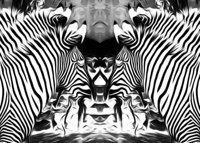 zebra face to face