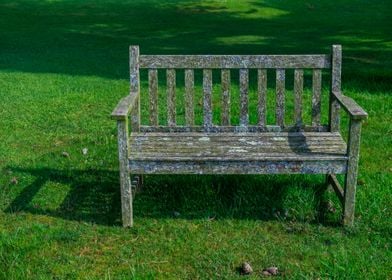 The Moss Bench