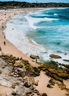 Bondi Beach