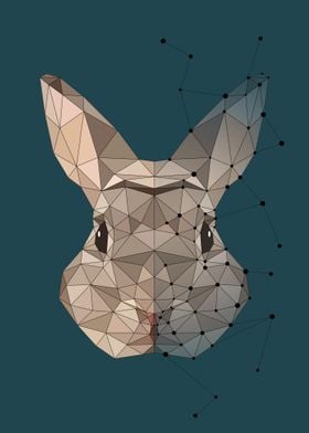 Rabbit Constellation