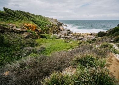 Buchan Point Sydney