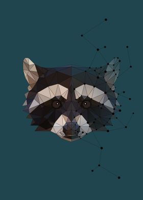 Raccoon Constellation