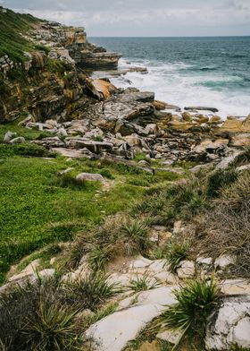 Buchan Point Sydney