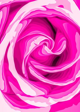 closeup pink rose texture