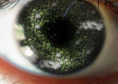 Eyes of the green forest