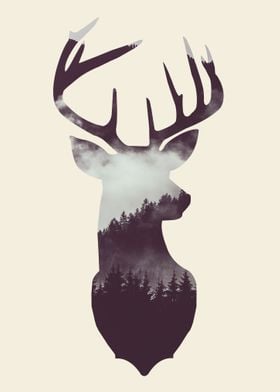 Forest in the Deer