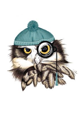 Pirate Owl
