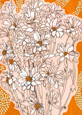 Daisy Chrysanthemum orange
