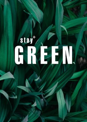 stay GREEN