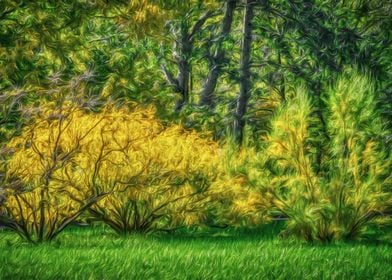 Yellow Bushes