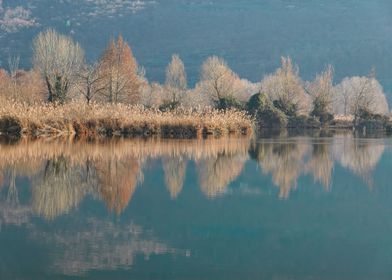 winter reflection on lanke