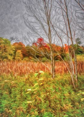 Autumn Marsh