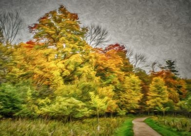 Autumn Side Pathway