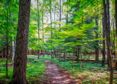 Forest Path