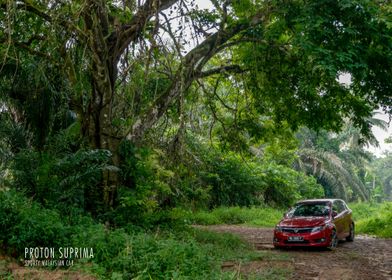 Suprima Sporty Family Car