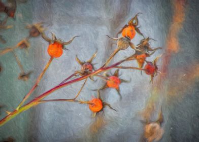 Winter Rosehips