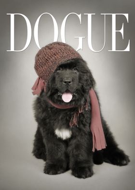 Newfie DOGUE