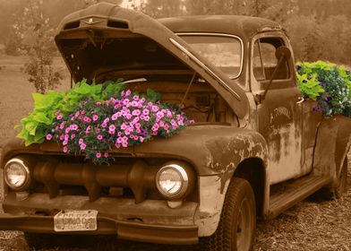 Antique Truck With Flowers