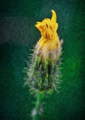 Prickly Yellow Bud