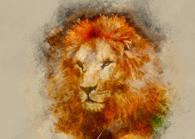 Watercolor African Lion