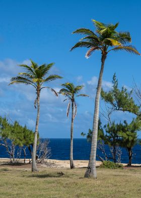 Barbados Coastline