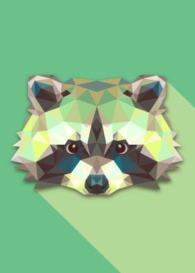 Raccoon triangle design